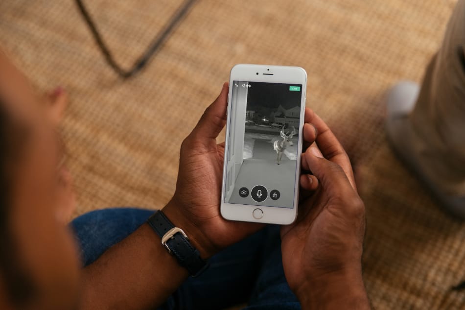 Forbes MN security system